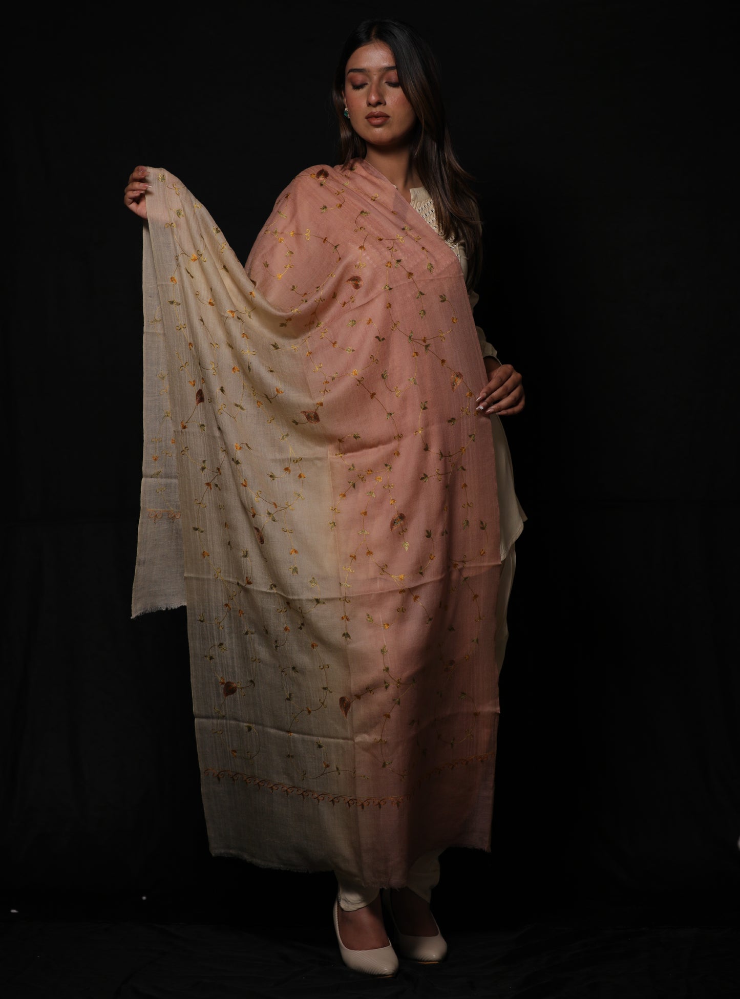 Pashmina ombre jali embroidery stole