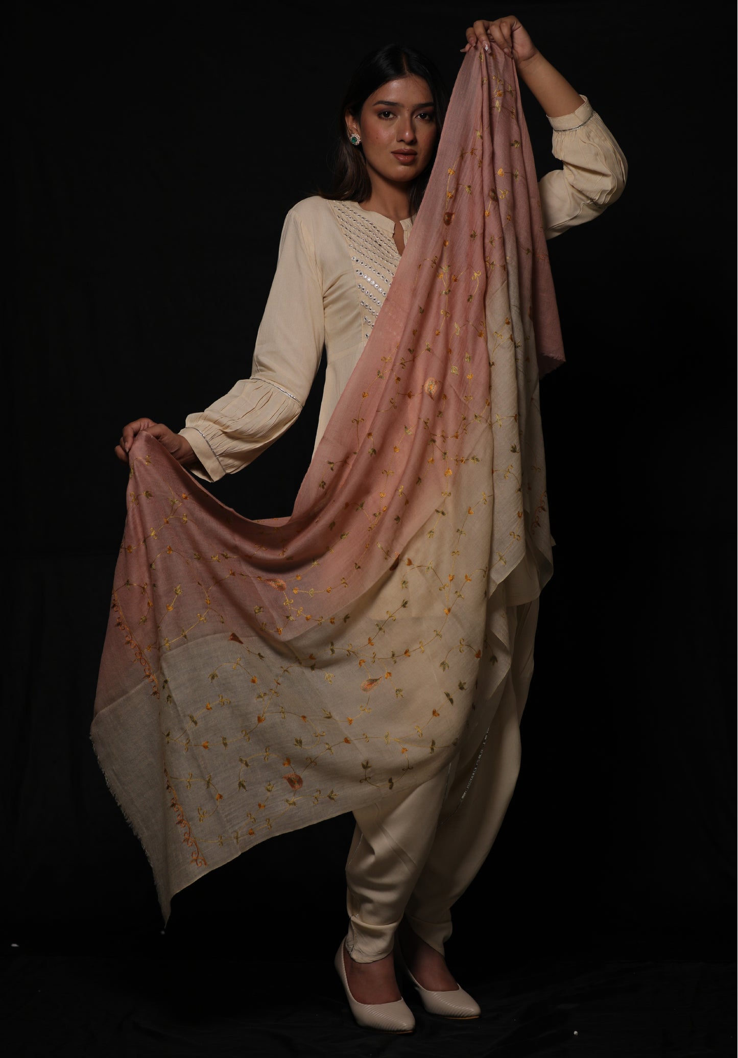 Pashmina ombre jali embroidery stole