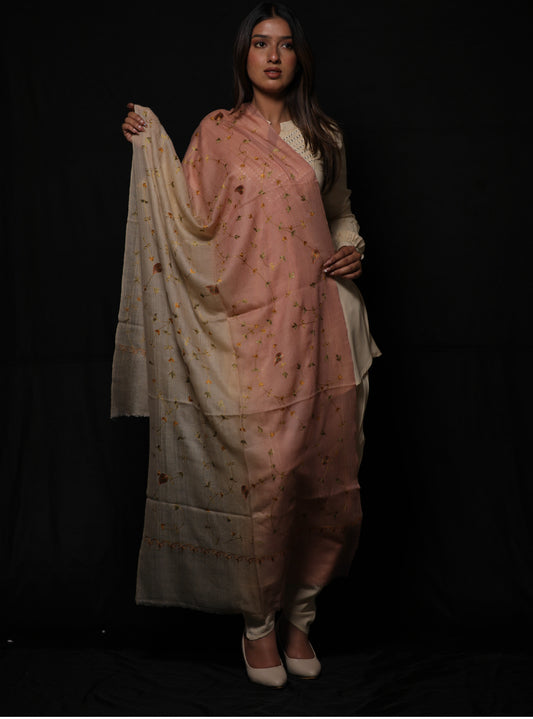 Pashmina ombre jali embroidery stole